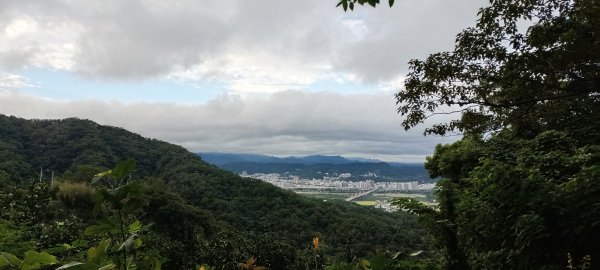 20231112_飛鳳山+觀日坪古道(含中坑山+石壁潭山)2344936