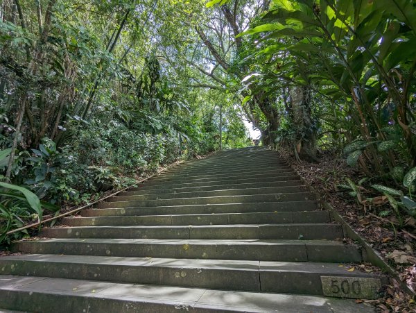 2023-08-26 臺北大縱走第七段2792804