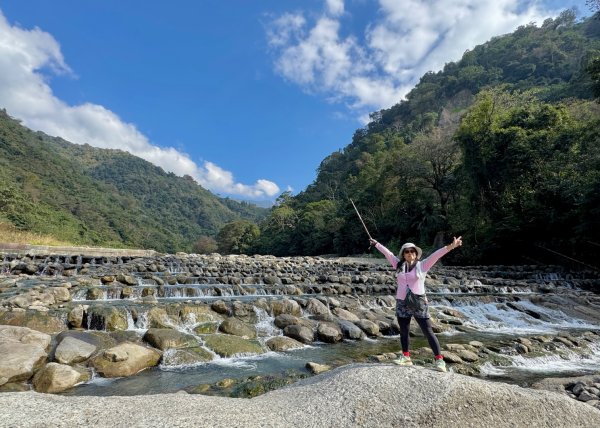 雪山坑登山步道尋巨人2978276