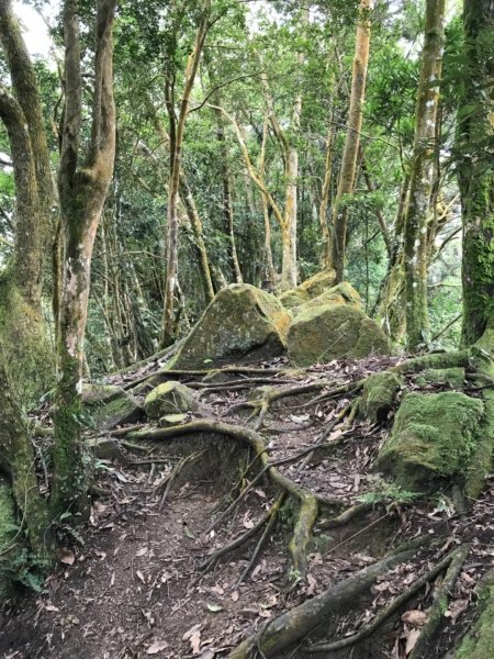 仙山.八仙古道O型走521354