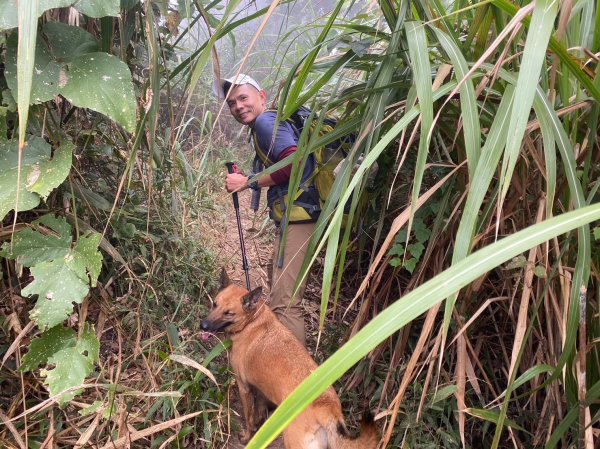 馬那邦山.細道邦山【你 不能預判山的變幻莫測】2401513