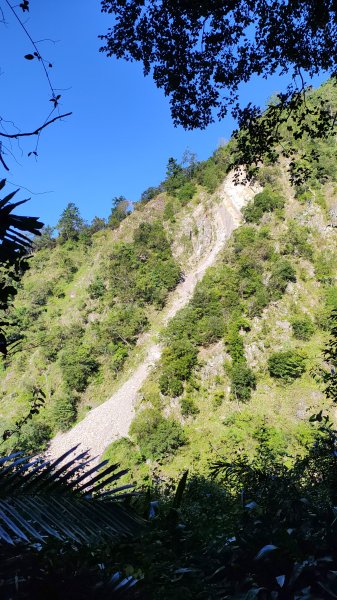 谷關休閒走2897447