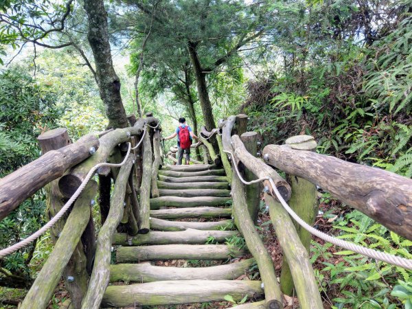頭嵙山(小百岳#41)大坑4,5,1步道1003698