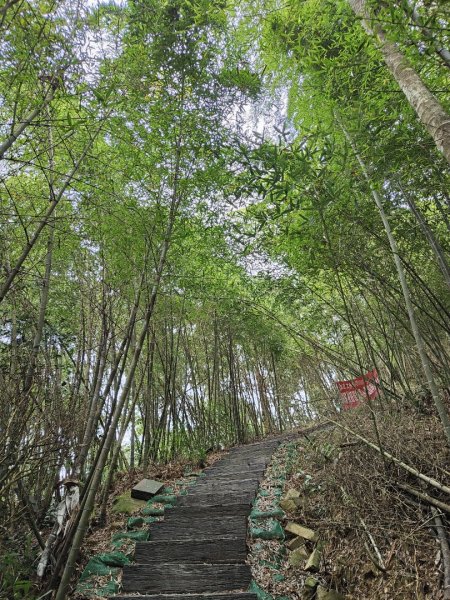 2023.12.23 梨子腳山2833262