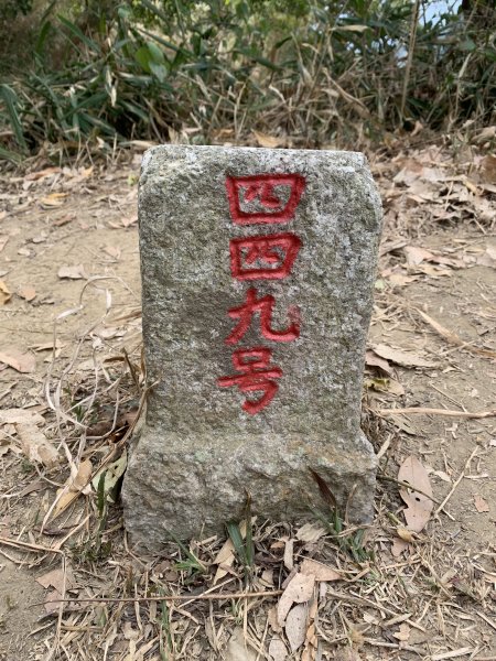 20260117台南阿拉溪斜瀑群縱走糖子恩山-水山頂山2985075