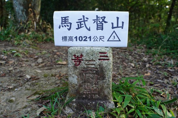 新竹 關西 馬武督山