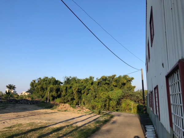 台南市六甲、官田、麻豆、將軍土地調查局圖根點。六甲、番子田、寮子廓、新豹尾（末尋得）、過港子1634821