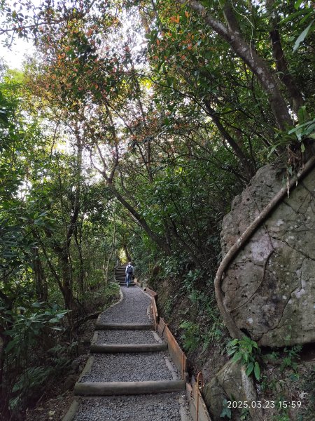 【臺北大縱走 5】碧山巖→忠勇山越嶺步道→金龍產業道路→圓明寺步道→鄭成功廟步道→文間山→劍潭山步道2744874