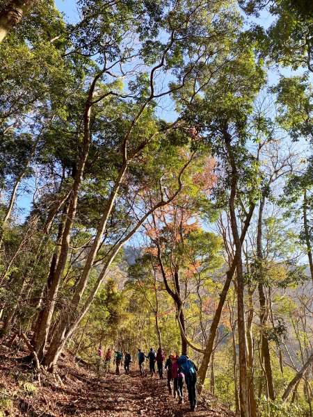 再登拉夫郎山西北峰卡社山 20211161238317