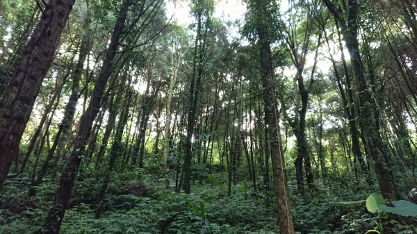 馬拉邦山上湖登山口O型走1069007