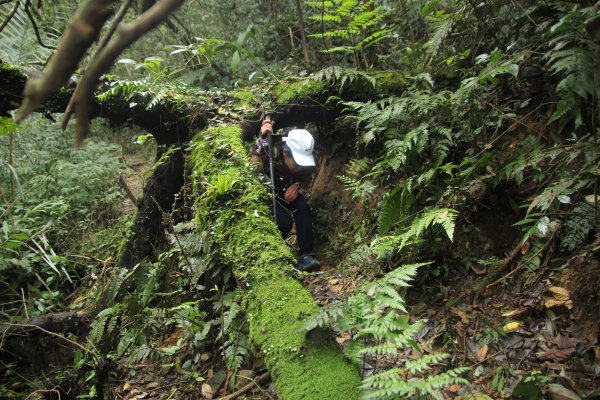 淡蘭古道北路坐山望海1253890