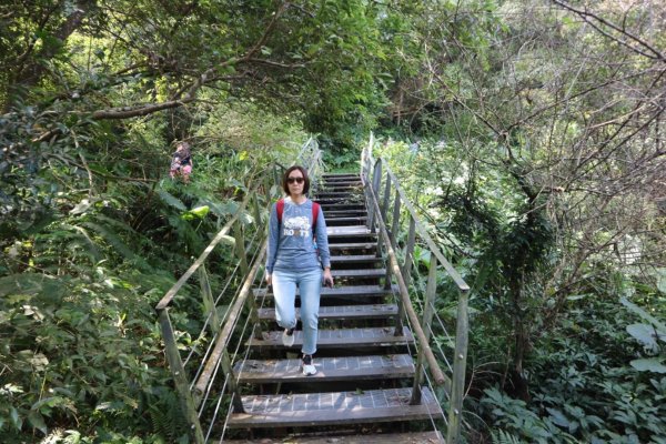 林美石磐步道447493