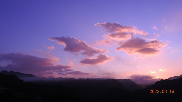 貢寮巡田水 - 桃源谷步道草嶺線來回走+十分日出+雙溪上林蓮花池  #芋葉括樓 #青眼蛺蝶1811710