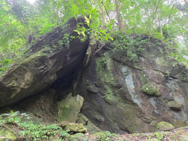 馬武督探索森林、外鳥嘴山2860602