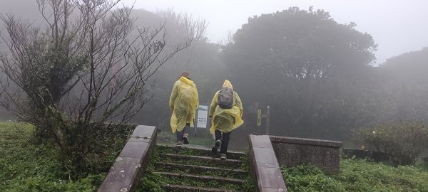 7°C的大屯山-2023/12/17