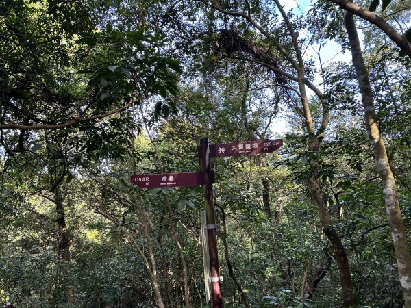暖東峽谷步道2949290