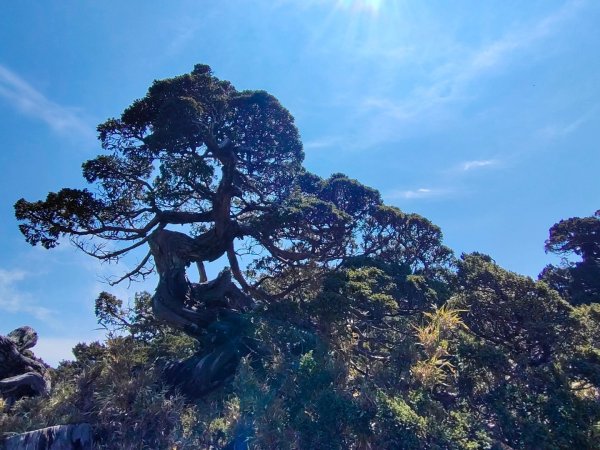 終於看到1000元背面的山景登頂玉山北峰／前峰2495969