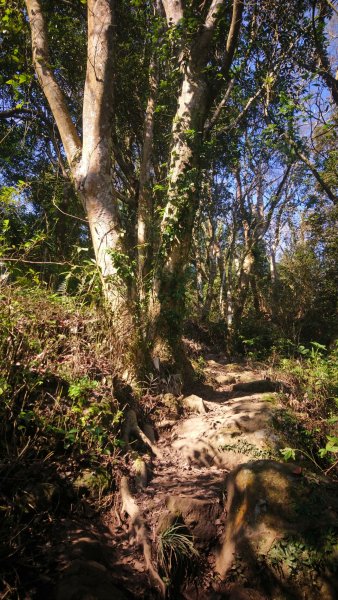 出關古道關刀山步道1584795
