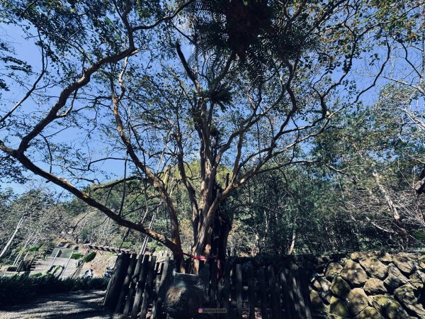 小百岳石壁山三峰縱走2680683