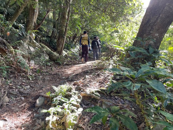 谷關七雄｜一日東屋縱走2923825