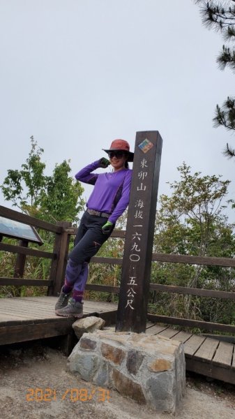 東卯山之谷關七雄2635513