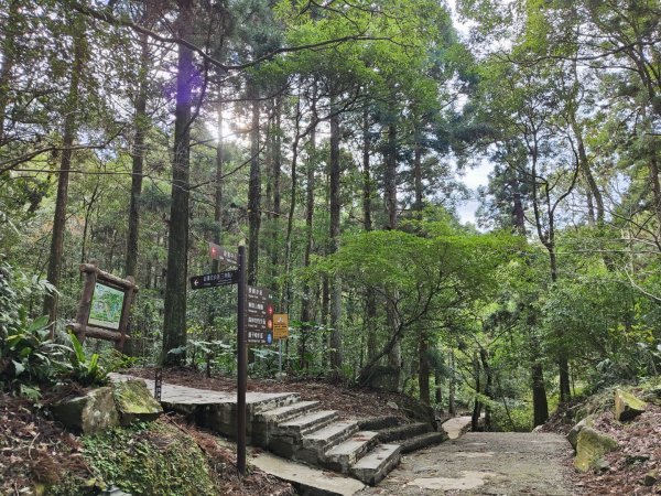 2023.12.27 東眼山2838842