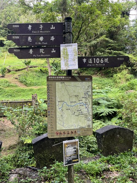 [微笑山線_第十一段] 2025_0803 五分山系_平溪小黃山段2851038