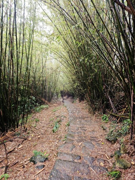 2025臺北大縱走第一段：關渡至二子坪2973524