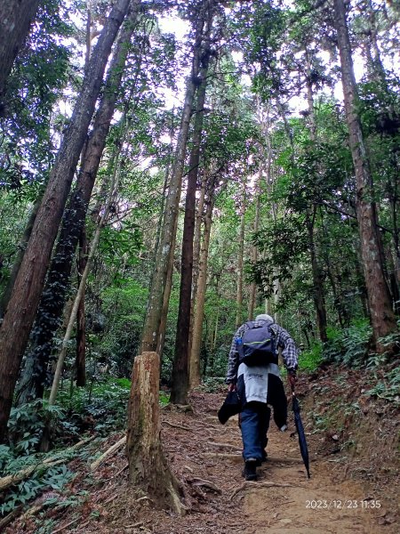四訪苗栗的花果山-小百岳#037馬那邦山、雪霸國家公園管理處【小百岳集起來、苗栗-臺灣百大必訪步道】2394326