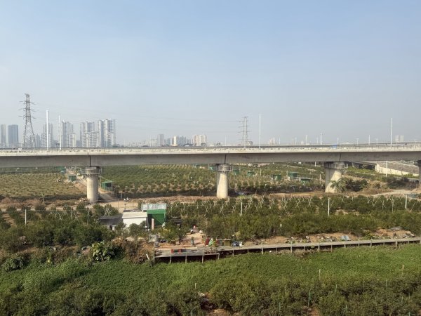 [茂名馬之行-10] 2026_0119 深圳北站2996562