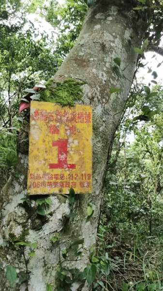 2025/6/14 橫龍山2839231