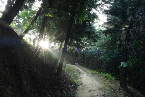 臺中 霧峰 阿罩霧山2646020