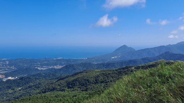 《老鷹怎麼這麼多》五分山_小百岳#101146483