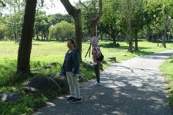 羅東運動公園3088595