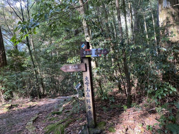 1131013大小雪山森林步道封面