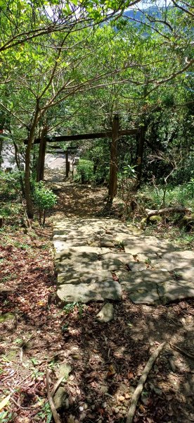 猴硐神社步道.新北瑞芳2620754