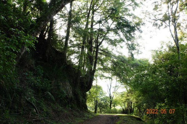 苗栗 泰安 結城山1706120