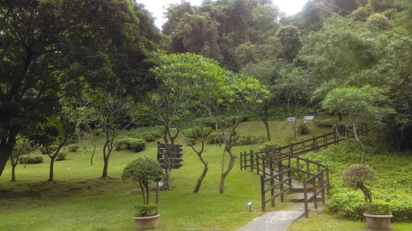 內湖碧湖公園環湖步道的湖光山色、波光粼粼987812