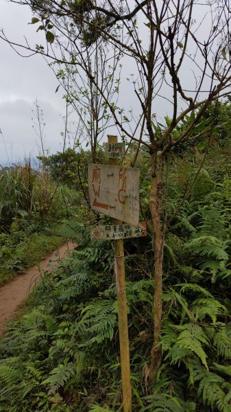 20230124_年初二_新店文筆山_土城清水大尖山_新加坡嶺_青龍嶺2011163