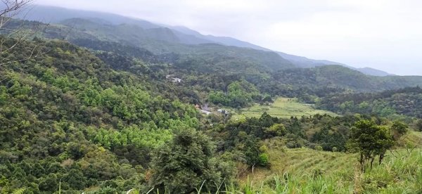 鵲子山步道 小百岳1304419