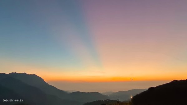 雲山水花鳥蝶 - 天龍國阿伯的日常7/18 & 21、22、292553963