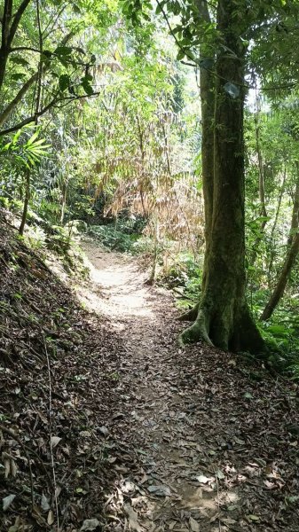 20251004 馬那邦山 - 珠湖 登山口2904934