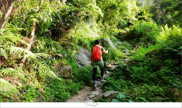 【登山健行│花蓮秀林】健行旅記，錐麓古道965436