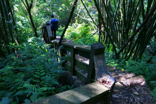 樟之細路縱走：石門山至九讚頭1472175