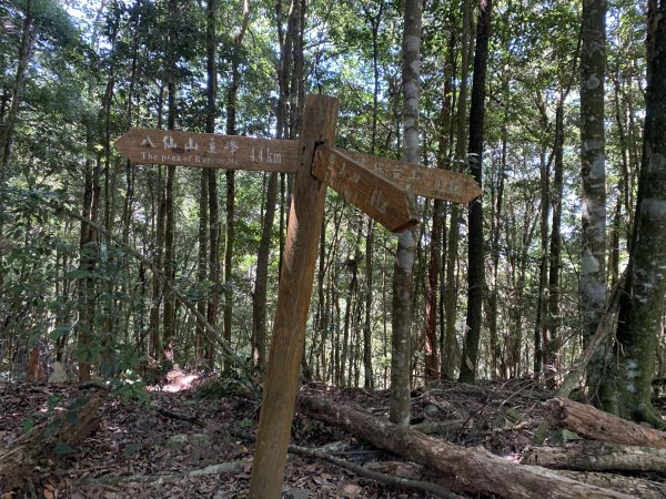 20251018台中八仙山2921435