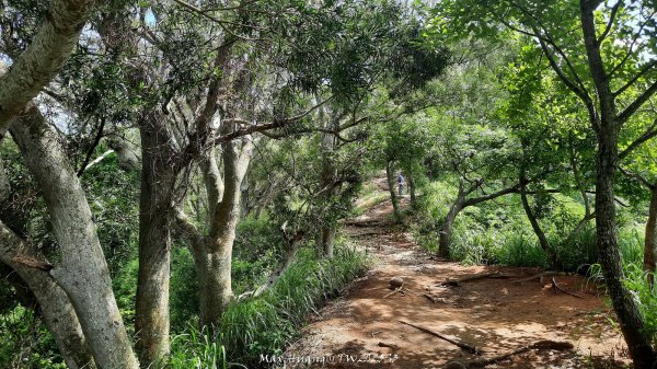 《台中》心靈雞湯｜大肚萬里長城登山步道O繞202507052827439
