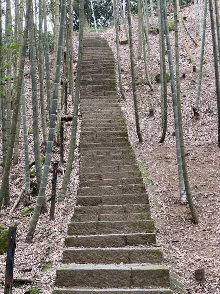 孟宗竹古戰場步道2723518