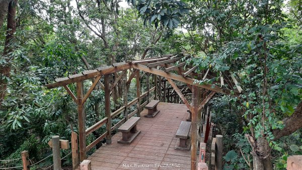 《彰化》古意人文｜員林18觀音O繞大峰巷挑水古道202504122759456