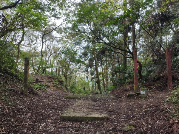 [新北石碇][三]五郎寮山東北、五郎寮山、風露嘴山、風露嘴山西峰、十股寮、粗坑崙山西西峰、粗坑崙山西峰、大格門鞍部、小格頭、旗子腳山、雲海山