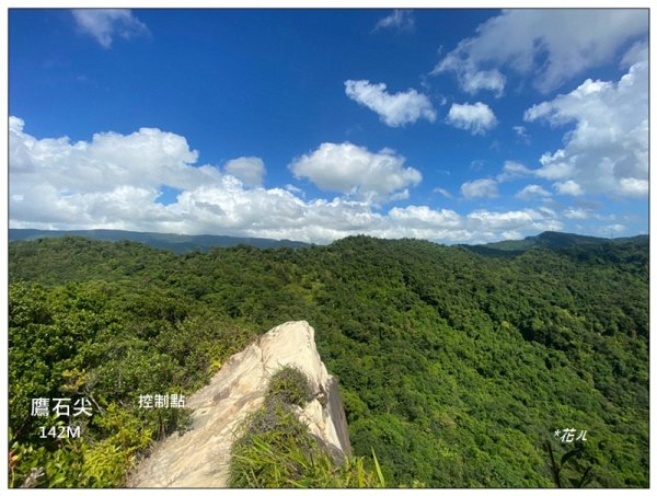 金龍湖、鷹石尖、老鷲尖、內溝山 O型一圈2966613
